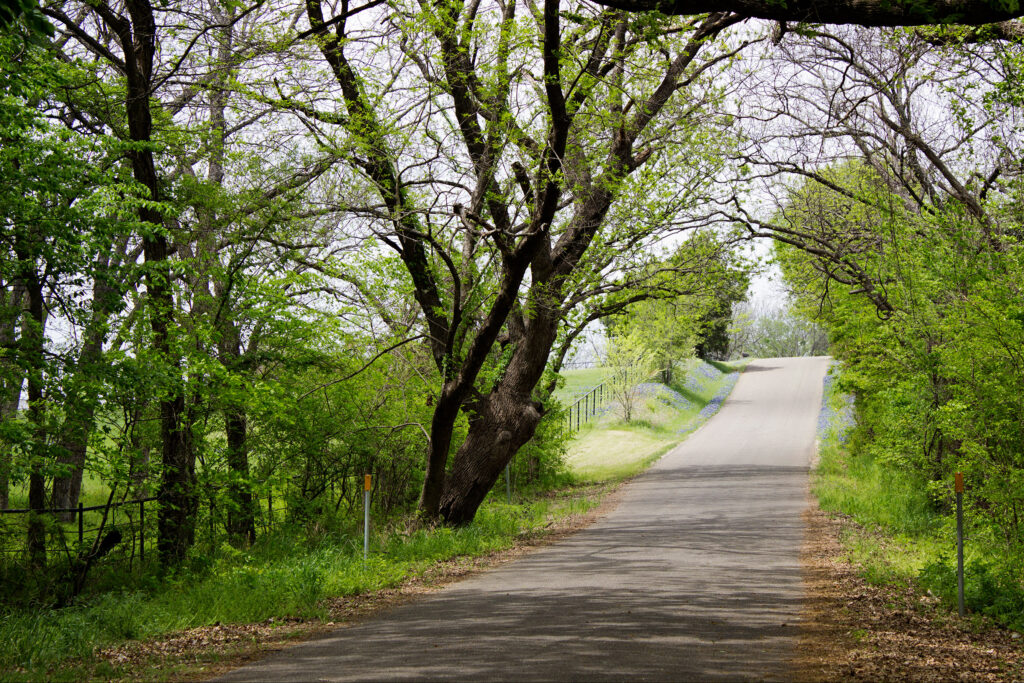 Texas country road in spring
